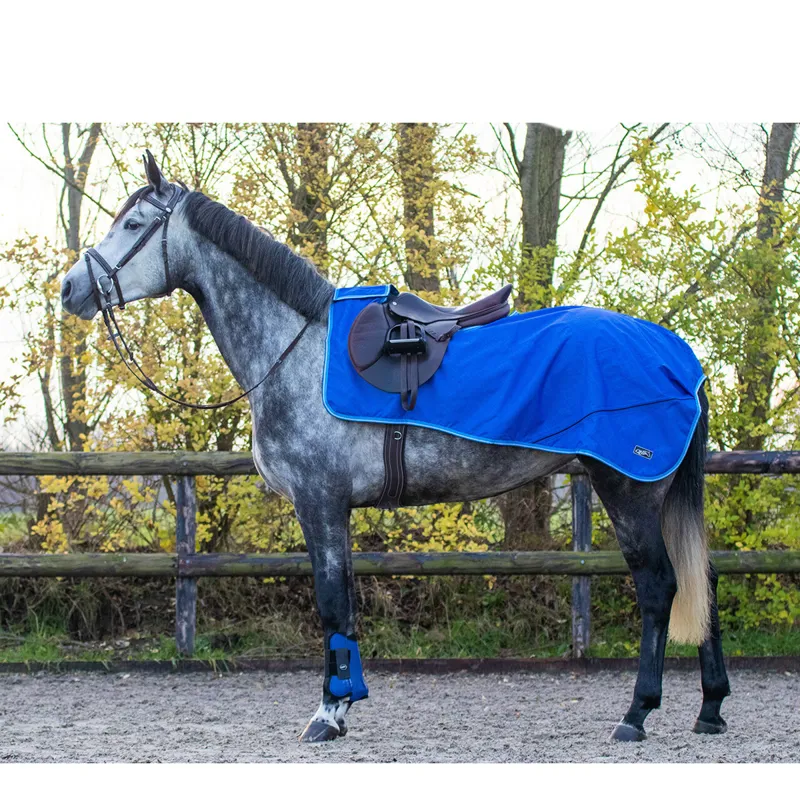 QHP Exercise Sheet Turnout Collection Fleece - Splash